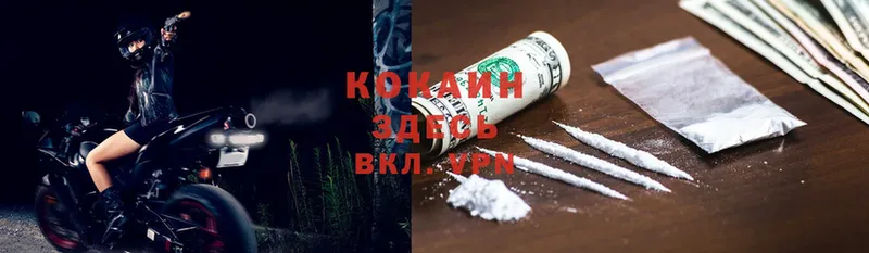 Cocaine FishScale Любим