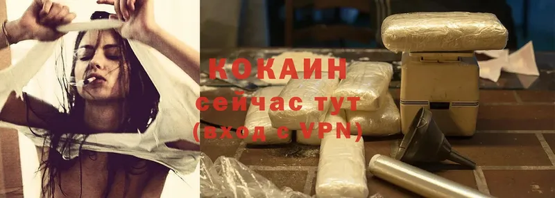 мега как войти  Любим  COCAIN FishScale 