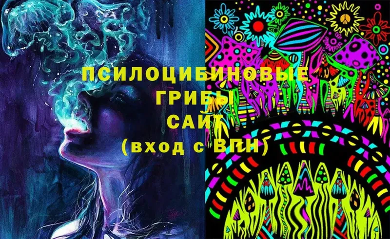 кракен вход  Любим  Псилоцибиновые грибы Magic Shrooms 